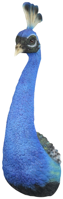 Resin Male Peacock Head Wall Art
